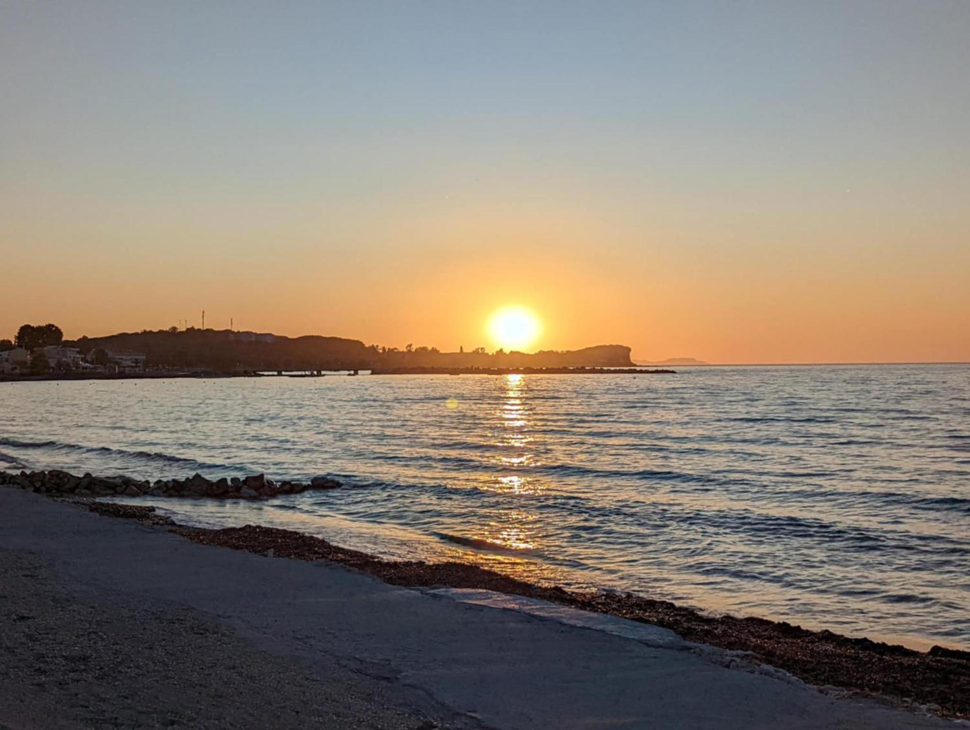 Dolphin & -next To The Roda (Corfu)