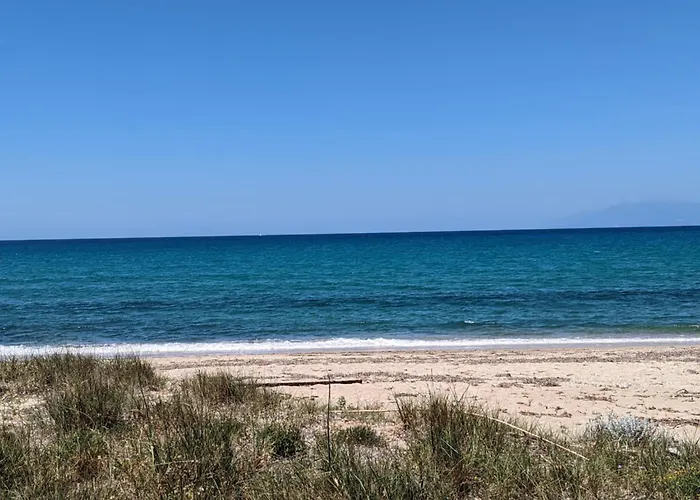 Dolphin Apt & Studios -Next To The Beach