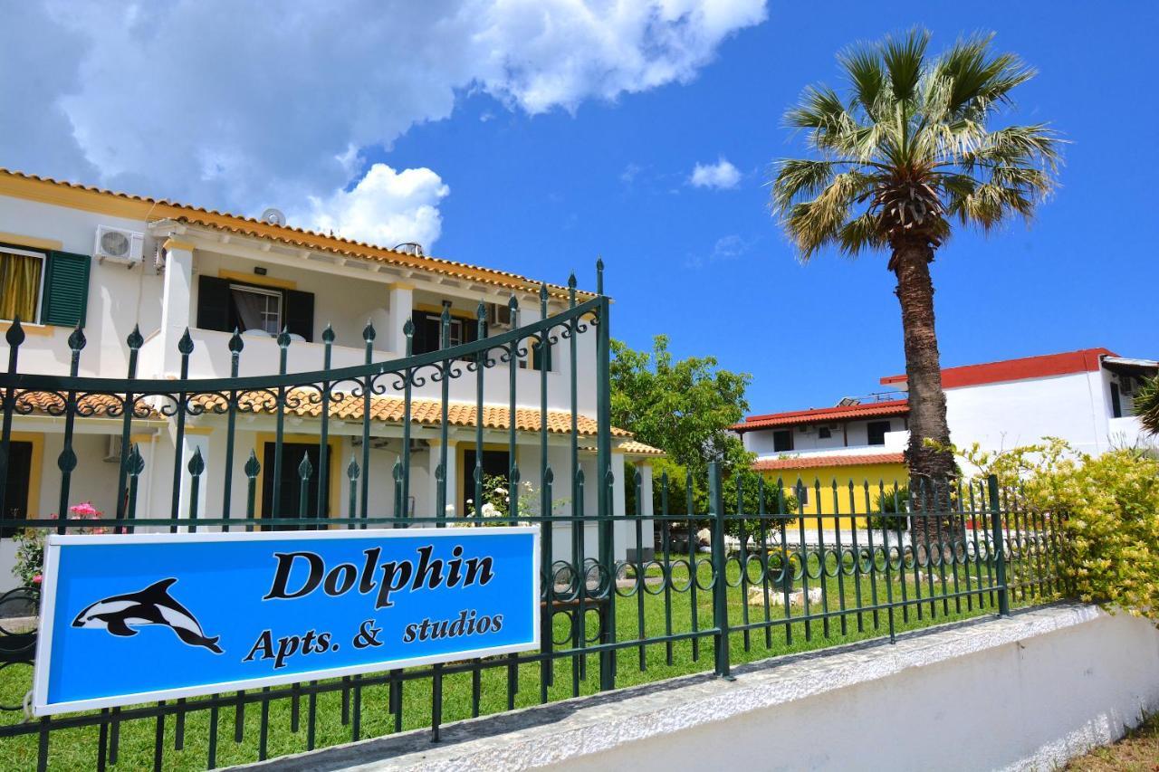 Dolphin & -next To The Apartment *