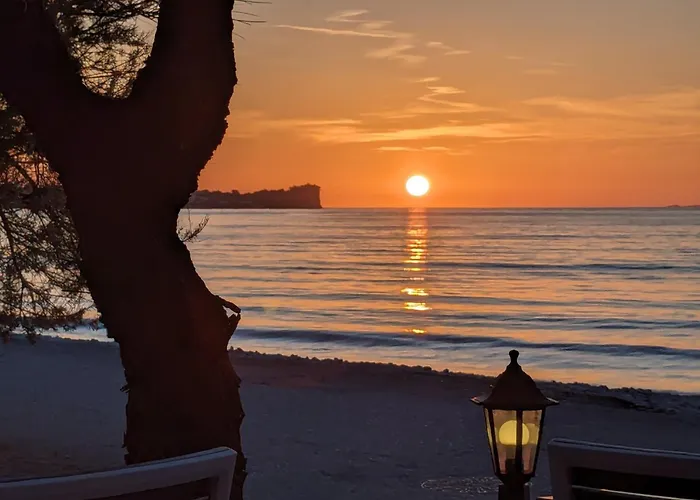 Dolphin Apt & Studios -Near The Beach