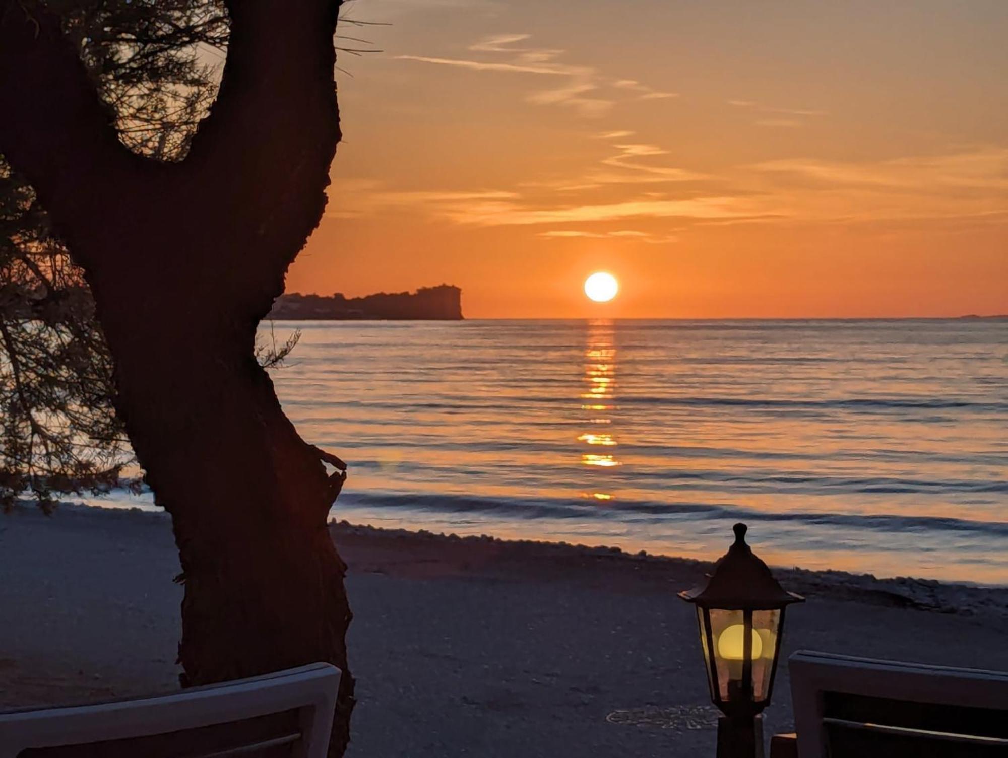 Διαμέρισμα Dolphin Apt & Studios -Near The Beach *