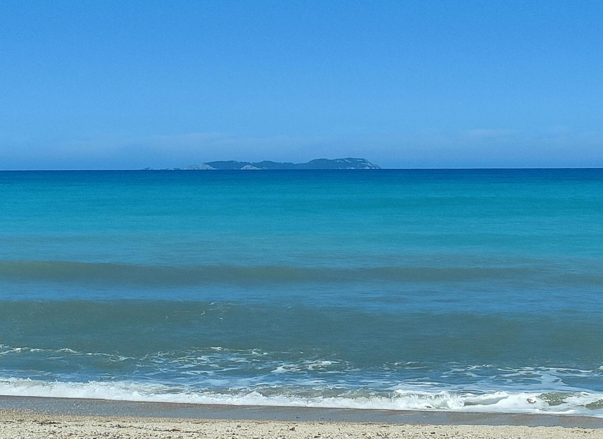 Dolphin Apt & Studios -Near The Beach Διαμέρισμα *
