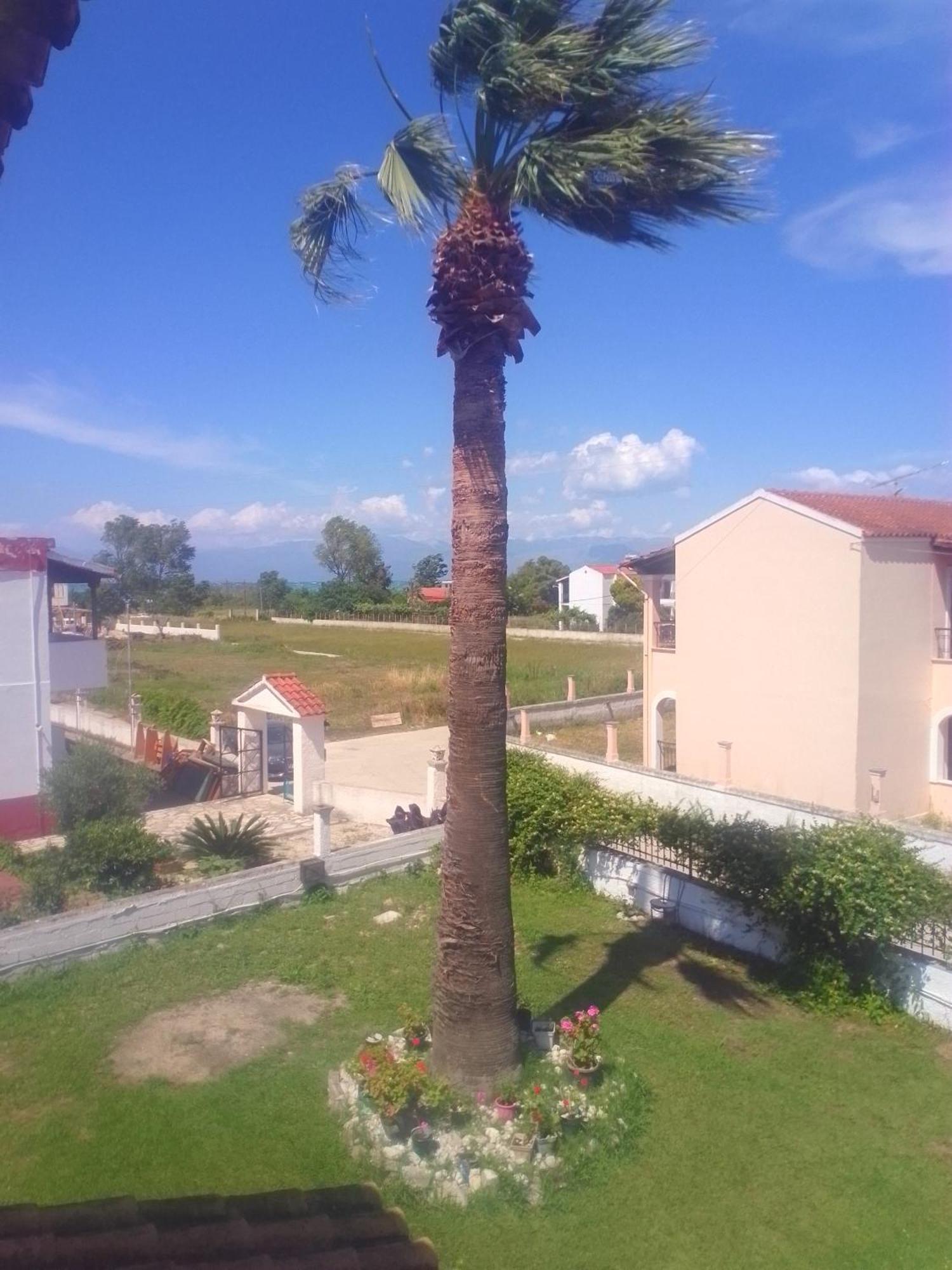 Dolphin Apt & Studios -Near The Beach Roda (Corfu)